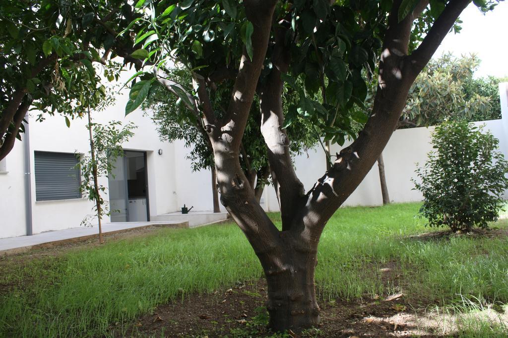Residencia Mayol - Adults Only PMI Oda fotoğraf